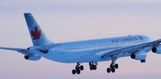 드디어 캐나다 입국시 PCR 결과서 제출 하지 않는다