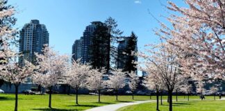 Burnaby시 공원에서의 예배 모임 다시 허용