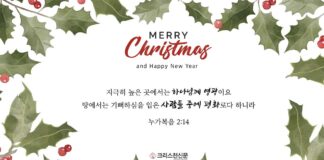 기쁨이 충만한 성탄절 되세요!