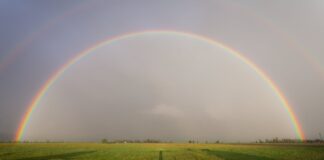 공공도서관에서 가르치는 성경적 성 정체성 rainbow on grass field