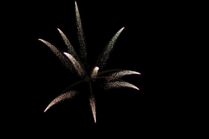fireworks display in the night sky