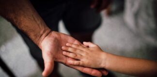 ‘어린아이와 같은 신앙’이란 무엇인가? selective focus photography of child s hand