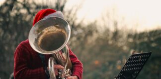 공원에서 부르는 크리스마스 캐롤 man playing on tuba outdoors