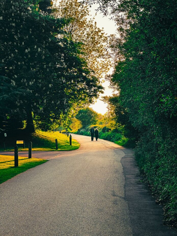 couple walking on sunny road between trees