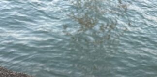 빵과 장미 (세계 여성의 날을 맞이하여)_이진종(시인. 목사) bouquet of pink roses with baguette by water