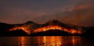 산불 현장에서 전하는 예수님의 자비와 평화 photo of wildfire on mountain