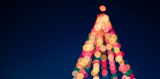 맥스 루케이도 “성탄의 원래 의미로 돌아가자” bokeh photography of lights