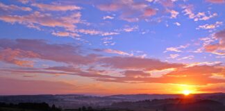 2022년 대망의 새해가 밝았습니다. 그리스도 안에서 문안 인사드립니다. green tall trees with view of mountain and sun peeking through